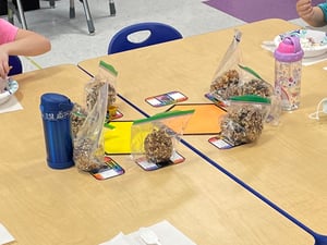 Pre-K creating bird feeders